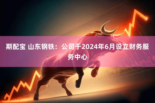 期配宝 山东钢铁：公司于2024年6月设立财务服务中心